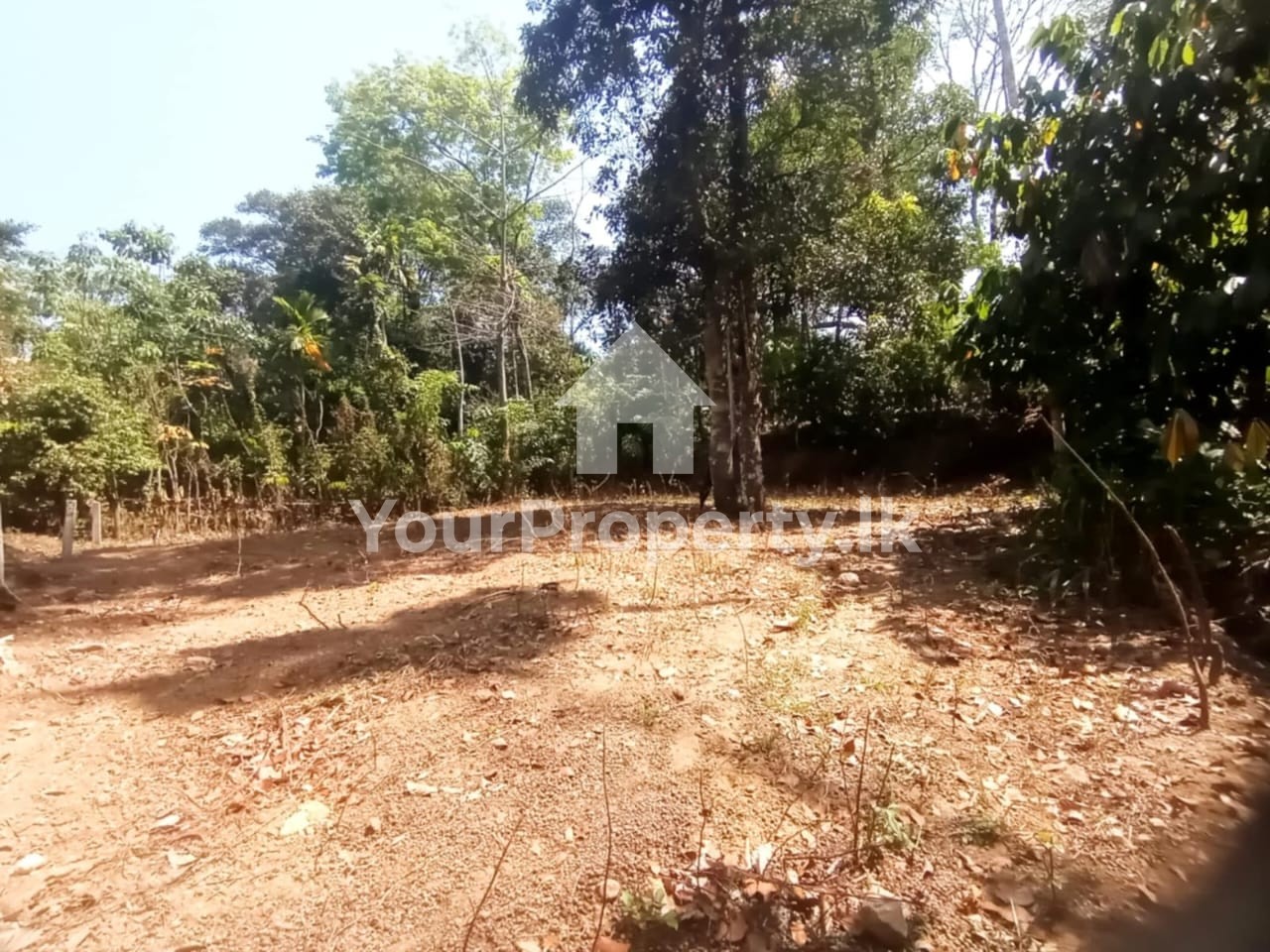 Land for Sale Galigamuwa