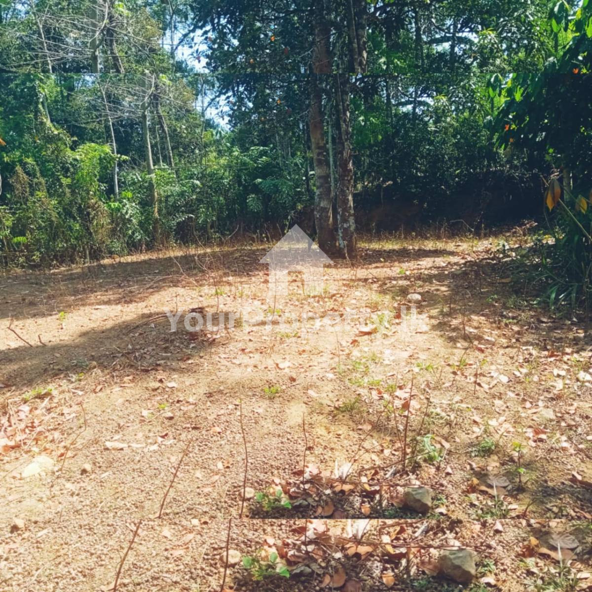 ඉඩමක් විකිණීමට | Kegalle Land For Sale