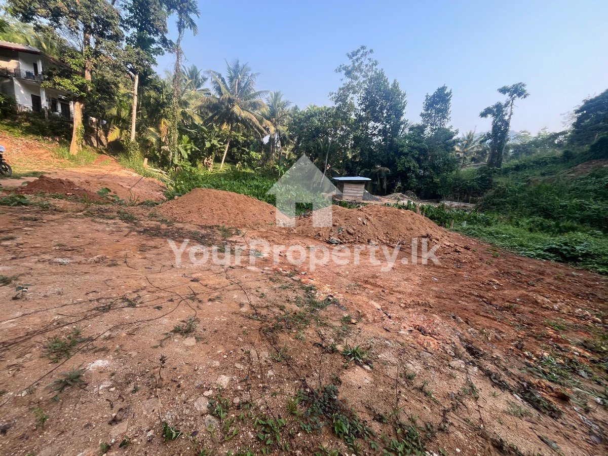 ගලිගමුවෙන් අඩනා ඉඩමක්
