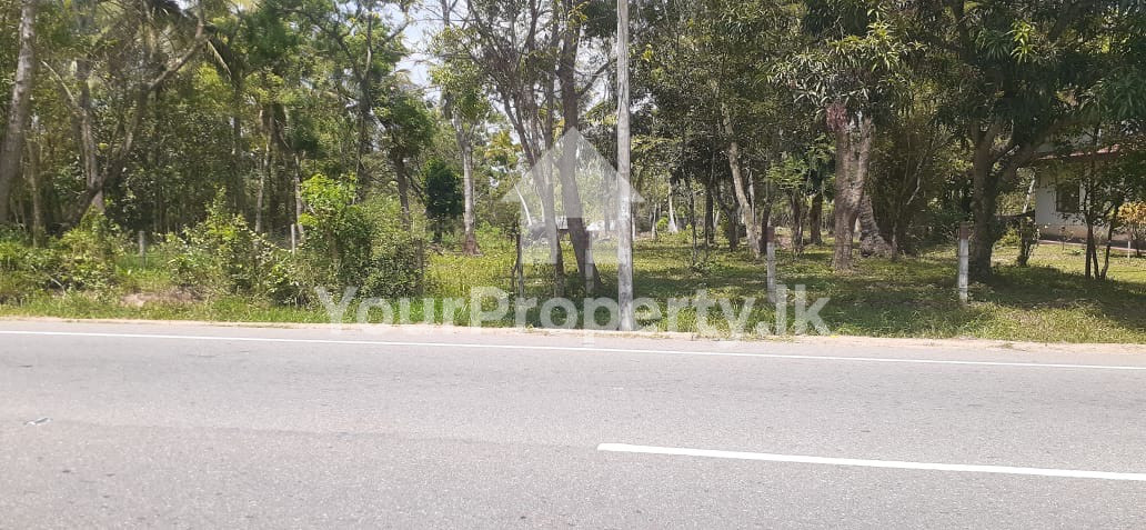 කුරුණෑගල" දිස්ත්‍රික්කයේ වාරියපොල - නාරම්මල, 521 බස් පාරට මුහුනලා වටිනා ඉඩමක් විකිනීමට
