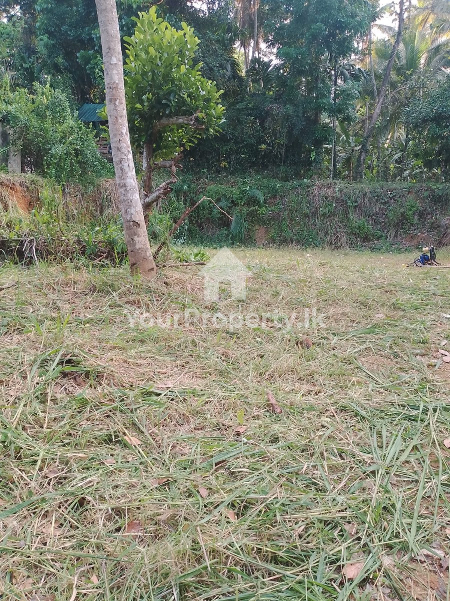 🌴 කැගල්ල  කරඩුපනෙන්   තැනිතලා  ඉඩමක් විකිණීමට | Kegalle Land For Sale