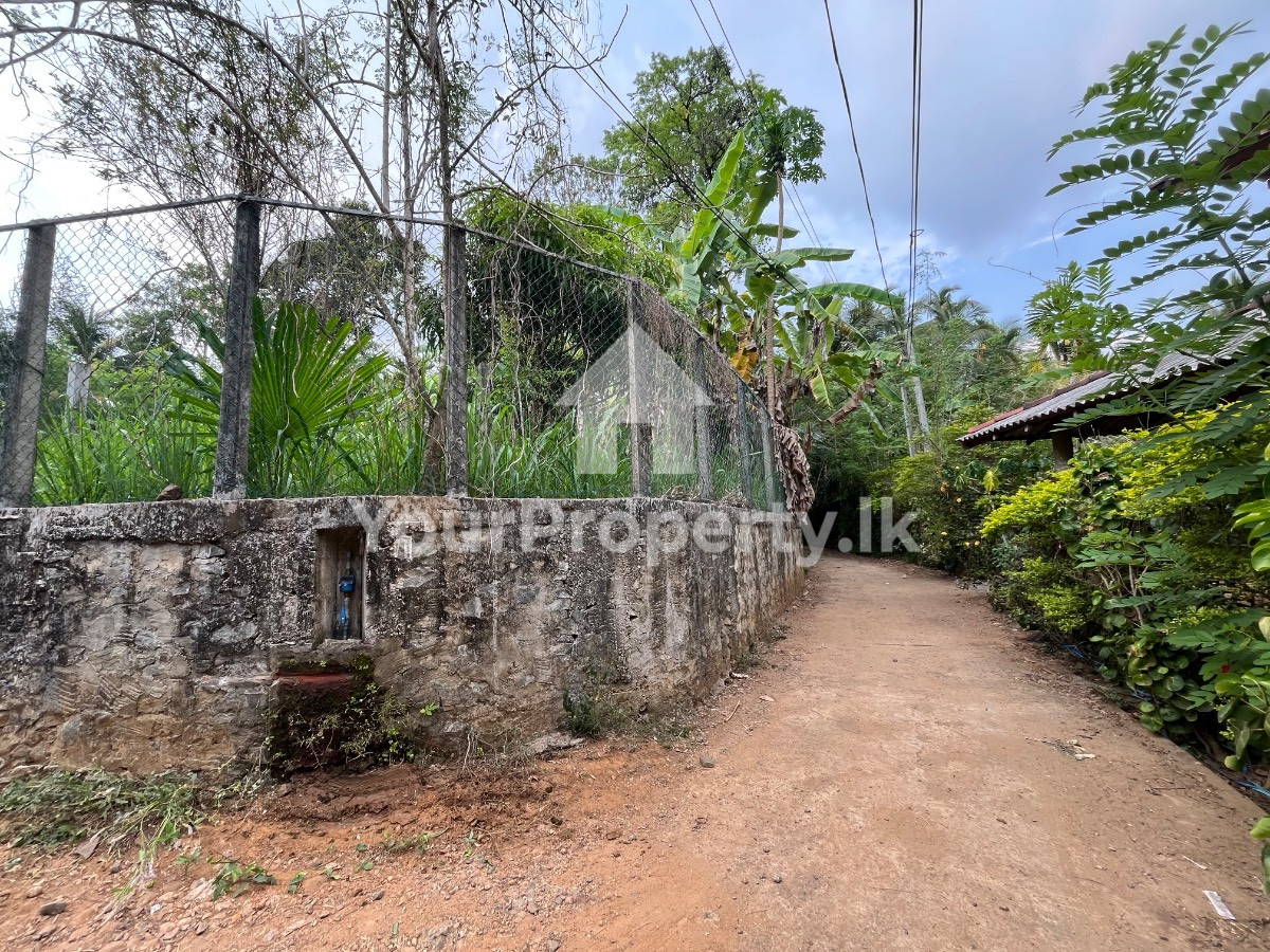 🏡️ කෑගල්ල, දේවාලේගමෙන් පර්චස් 20 ක අනගි ඉඩමක් වහාම විකිණීමට!