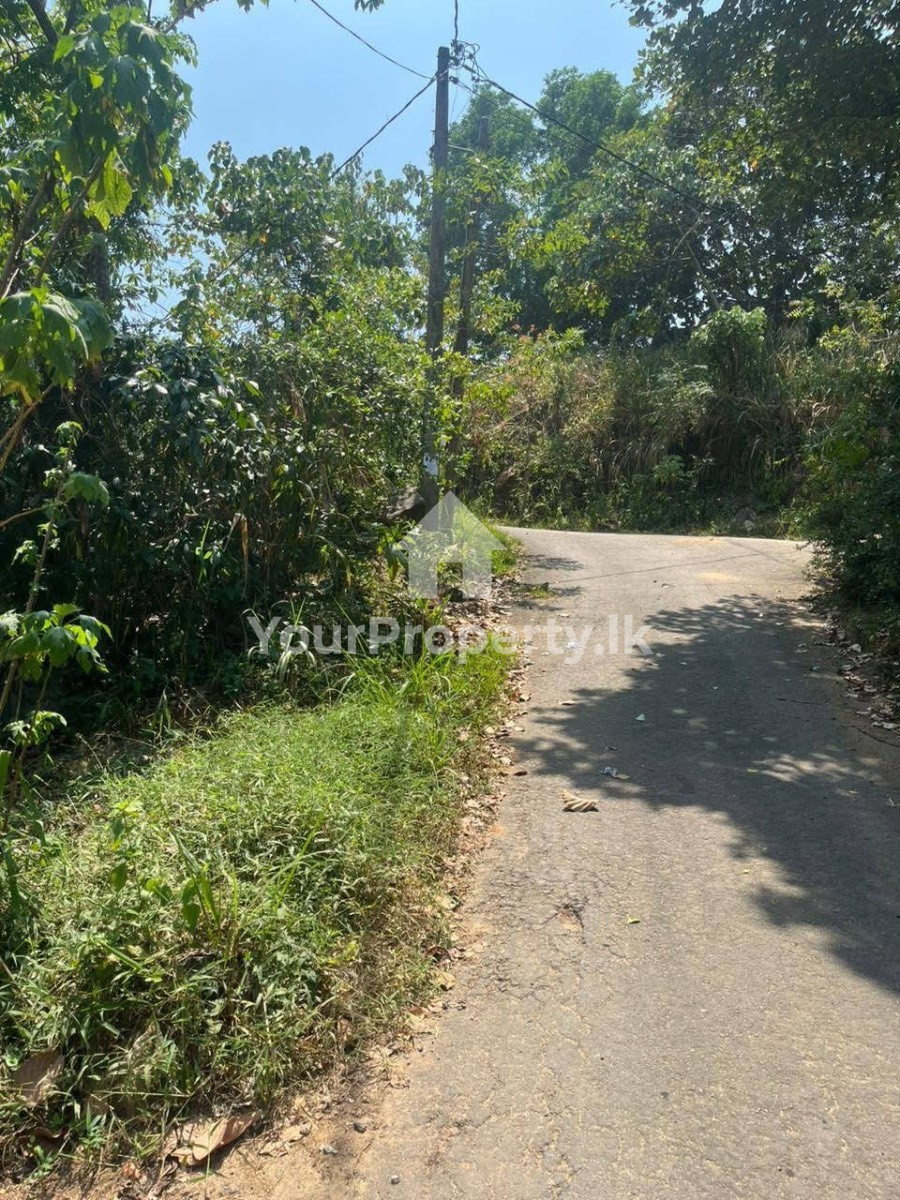 සියඹලාපිටියෙන් සුන්දර වටපිටාව සමගින් පර්චස් 30 ක බිම් කොටසක්