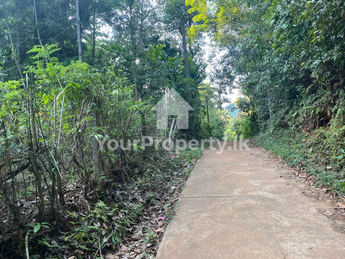 දීවෙල ප්‍රදාන පාරට අසලින්ම ඉඩමක්