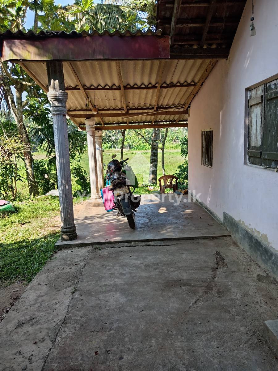 සුන්දර වෙල්‍ යායකට මුහුනලා ඇති නිවසක් විකිනීමට