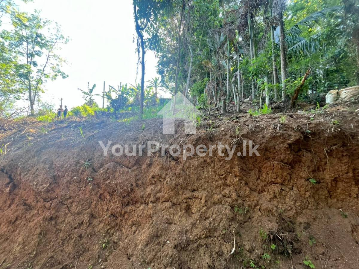 📍 මොලගොඩින් අගනා බිම් කොටසක් ඉතා ඉක්මනින් විකිණීමට!