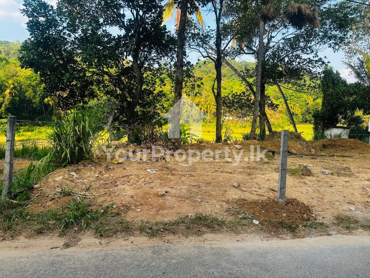 කෑගල්ල ටවුමට ආසන්නයෙන් වටිනා ඉඩමක් විකිණීමට ඇත