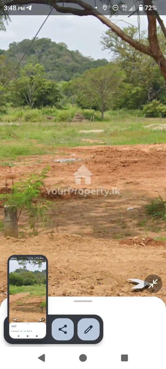 🌿 තණමල්විලින් වටිනා සුපිරි ඉඩමක් වහාම විකිණීමට! 🌿