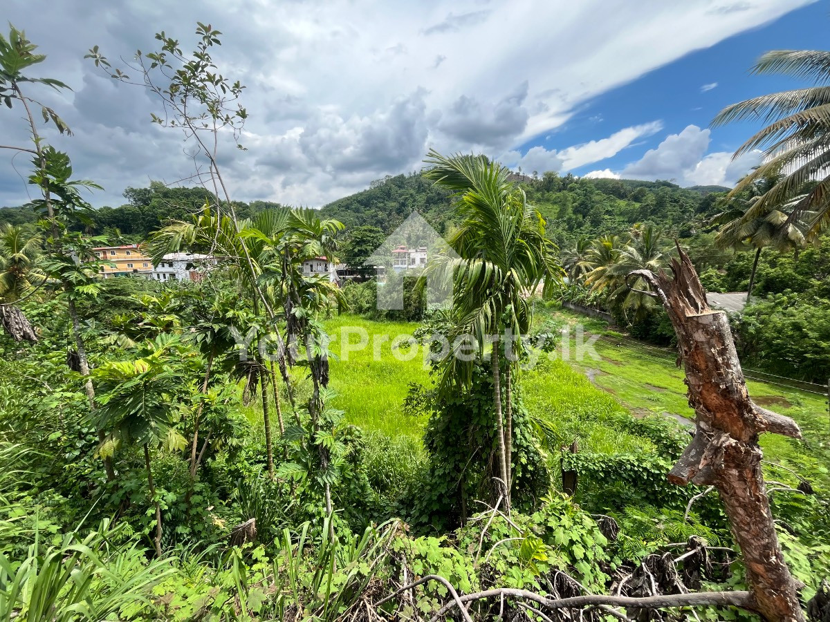 🏠 කෑගල්ල මොලගොඩින් සුපිරි ආයෝජනයක්