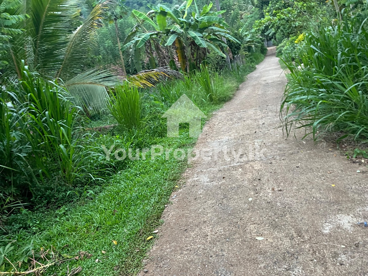 🏡 පදිංචියට ඉතා සුදුසු වටිනා තැනිතලා ඉඩමක් විකිණීමට - කෑගල්ල ,රබුක්කන🏡